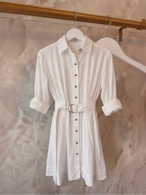 Ann Taylor Flare Pocket Shirtdress